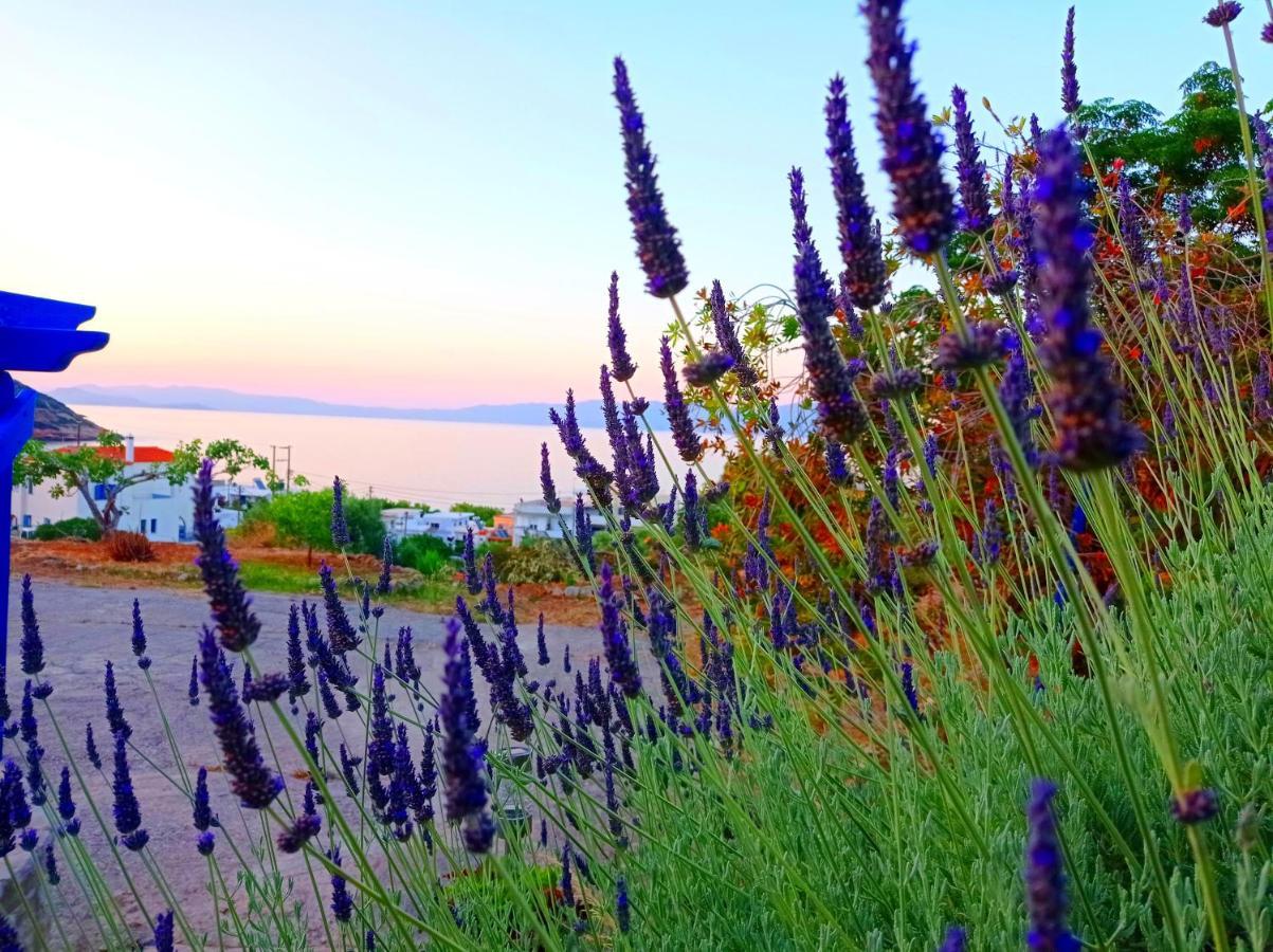 Evangelia House Sea View Apartments Agia Pelagia  外观 照片