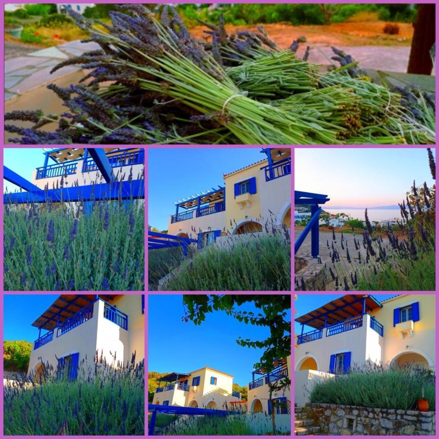 Evangelia House Sea View Apartments Agia Pelagia  外观 照片