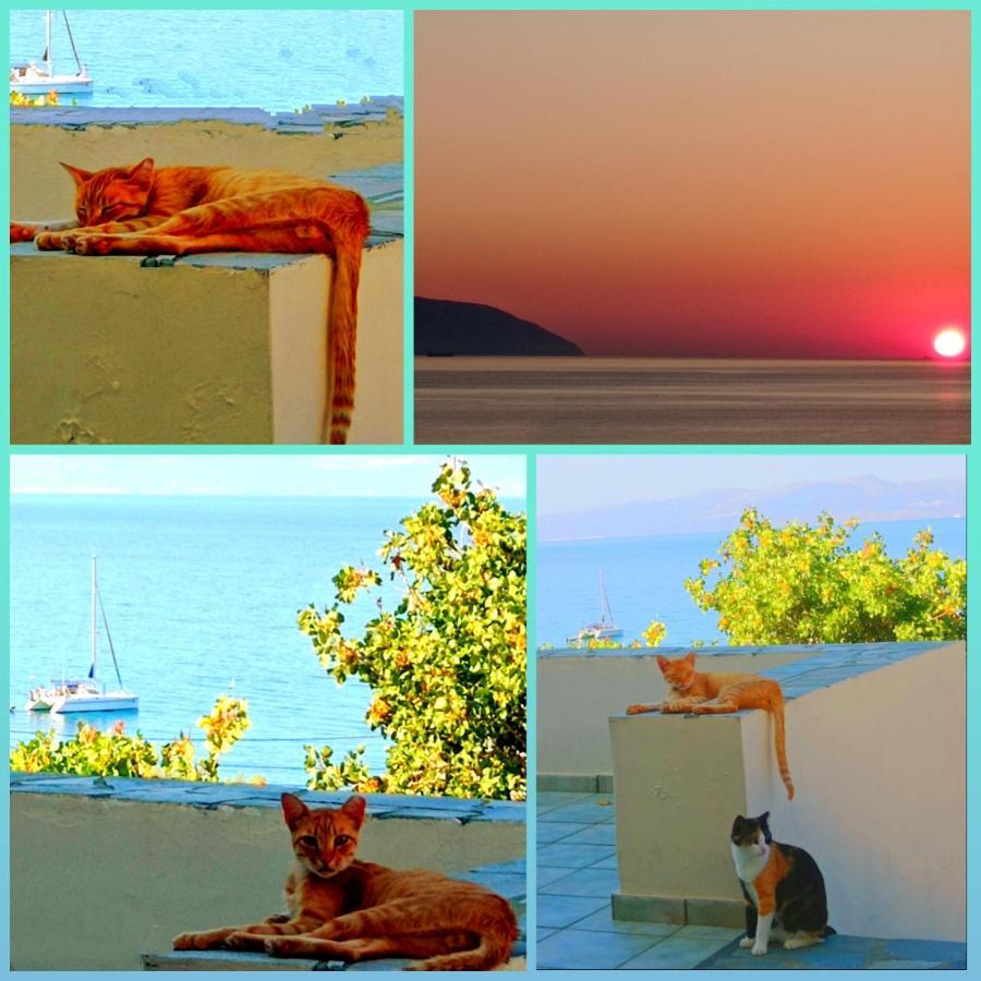Evangelia House Sea View Apartments Agia Pelagia  外观 照片